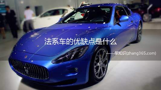 法系车的优缺点是什么(在WRC比赛中,没有两个人能赢得冠军吗)