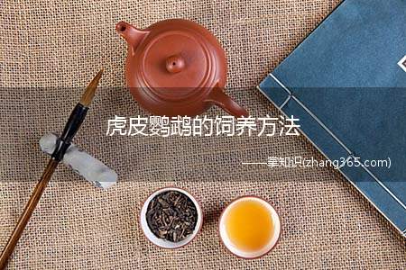 虎皮鹦鹉的饲养方法(虎皮鹦鹉生病了怎么办)