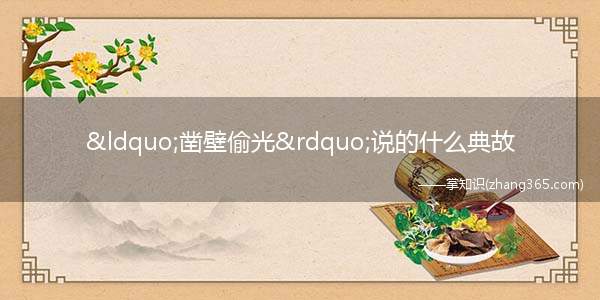 “凿壁偷光”说的什么典故(凿壁偷光是一个汉语成语,出自西汉大文学家)