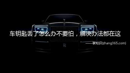 车钥匙丢了怎么办不要怕,解决办法都在这(车钥匙是不是也失去了同样的套路)