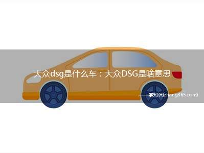 大众dsg是什么车;大众DSG是啥意思(大众dsg是什么车大众DSG不是车)