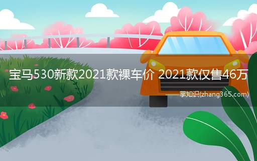 宝马530新款2021款裸车价 2021款仅售46万(宝马530新款2021款裸车价以及落地价格是多少)