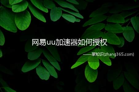 网易uu加速器如何授权(网易uu网游加速器好用吗您好!跟你讲,没用,反而加延迟,告)