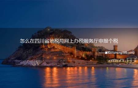 怎么在四川省地税局网上办税服务厅申报个税