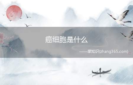 癌细胞是什么
