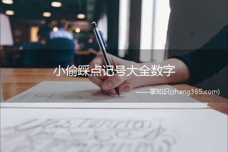 小偷踩点记号大全数字(闪电:白天偶尔有人在家,晚上回家很不准时。)