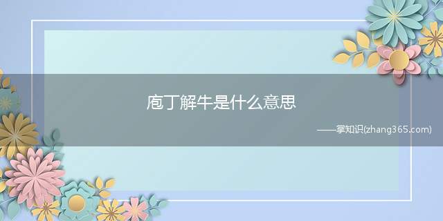庖丁解牛是什么意思