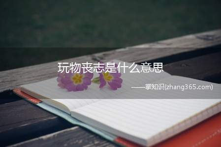 玩物丧志是什么意思