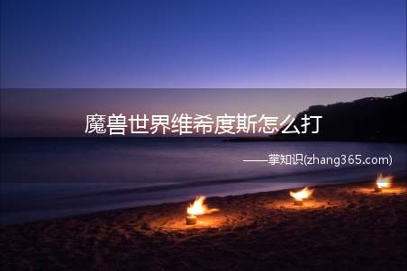 魔兽世界维希度斯怎么打
