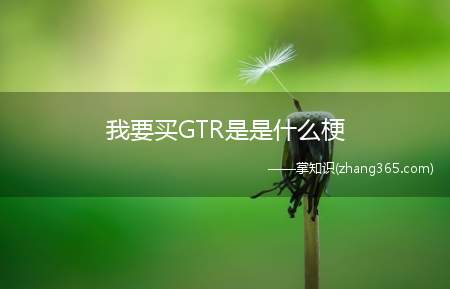 我要买GTR是是什么梗