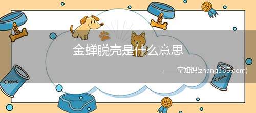 金蝉脱壳是什么意思