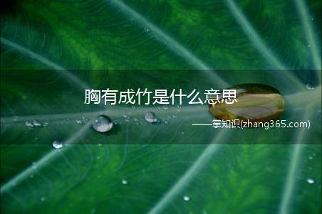 胸有成竹是什么意思