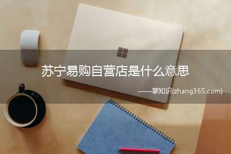 苏宁易购自营店是什么意思(苏宁易购自营店)