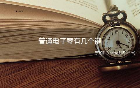 普通电子琴有几个键(电子琴和钢琴键有什么区别)