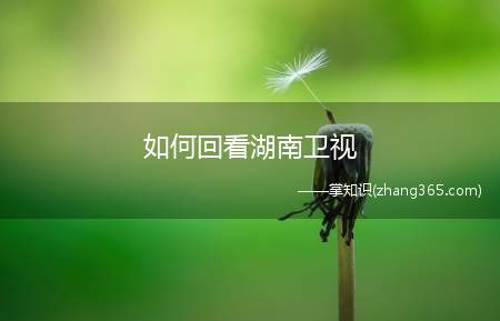如何回看湖南卫视(手机上看湖南卫视直播和回放用什么软件)