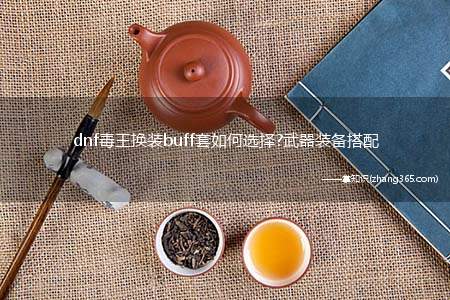 dnf毒王换装buff套如何选择?武器装备搭配