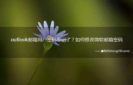 outlook邮箱用户密码忘记了?如何修改微软邮箱密码