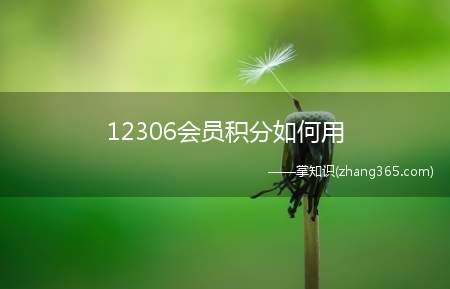 12306会员积分如何用(12306会员积分规则)