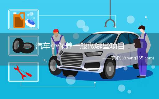汽车小保养一般做哪些项目(小保养主要包括更换机油和机油滤芯)