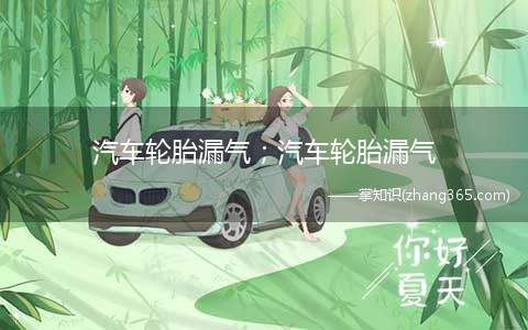 汽车轮胎漏气；汽车轮胎漏气