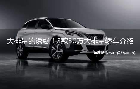 大排量的诱惑!3款30万大排量轿车介绍