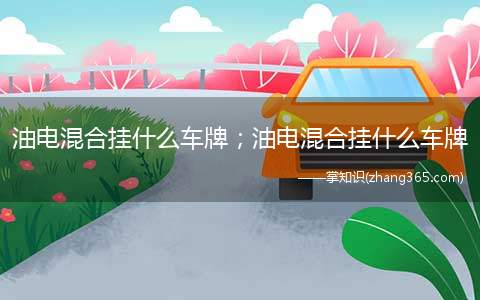 油电混合挂什么车牌;油电混合挂什么车牌(油电混合挂什么车牌蓝牌)
