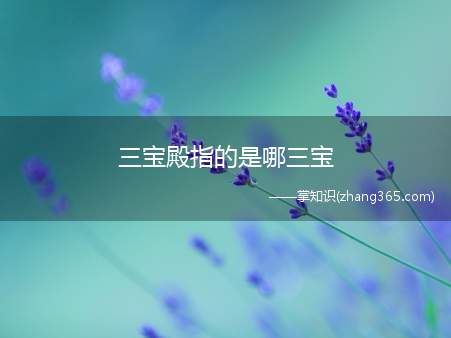 三宝殿指的是哪三宝(无事不登三宝殿是指什么)