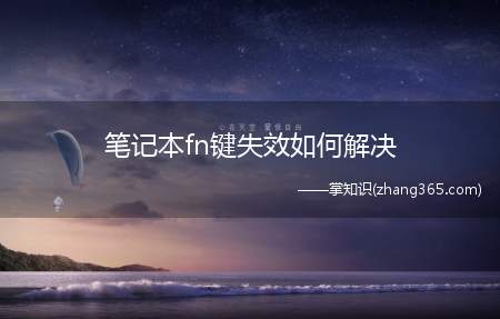 笔记本fn键失效如何解决(三星电脑管家下载settings软件)