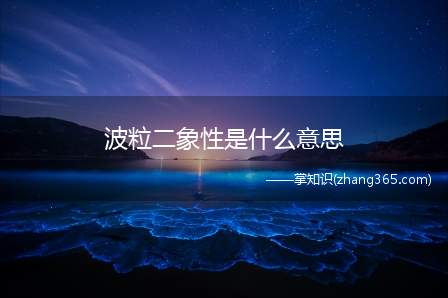 波粒二象性是什么意思