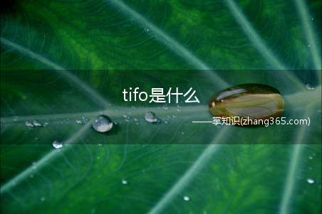 tifo是什么