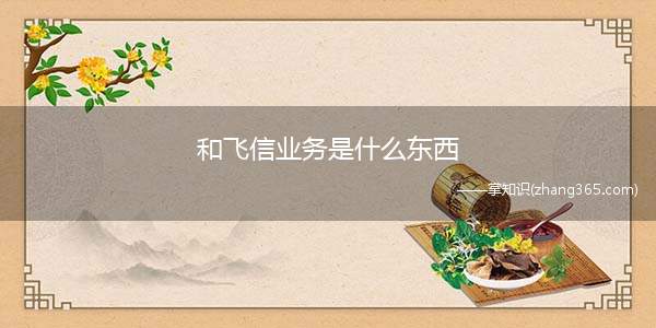 和飞信业务是什么东西