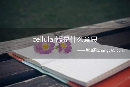 cellular版是什么意思