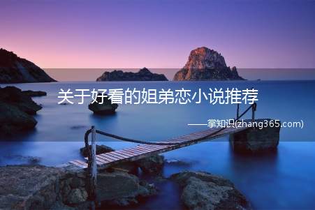 关于好看的姐弟恋小说推荐