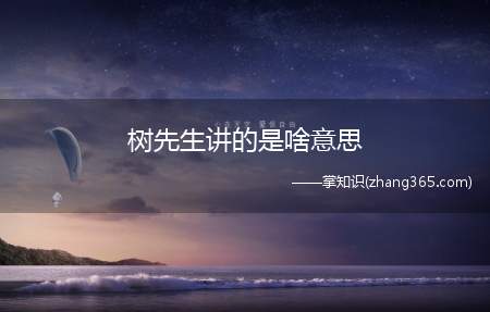 树先生讲的是啥意思(树先生这部电影简单说来就是一部精神病人养成记)