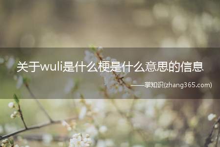 关于wuli是什么梗是什么意思的信息