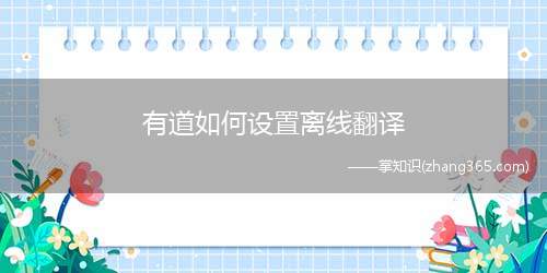 有道如何设置离线翻译(PC端的有道翻译离线翻译数据包在电脑中的哪个文件夹中)