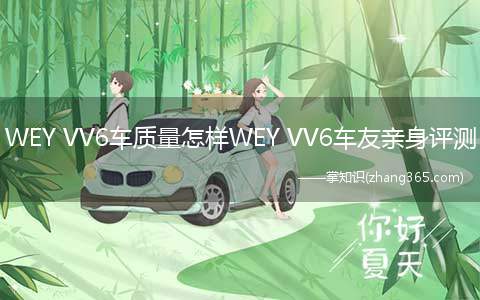 WEY VV6车质量怎样WEY VV6车友亲身评测(2)