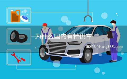 为什么国内有特供车