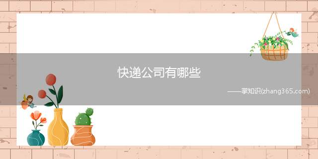 快递公司有哪些(网购要借助于快递公司来运输)