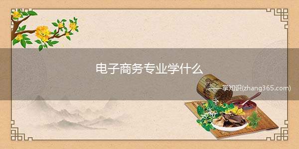 电子商务专业学什么(电子商务专业是一门集多种学科知识)
