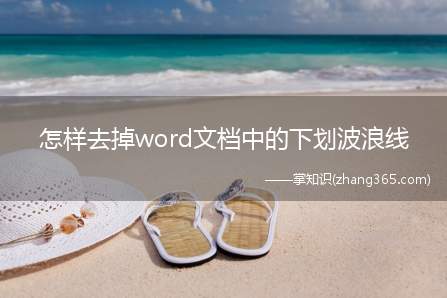 怎样去掉word文档中的下划波浪线(word2007怎样去掉文字下面的波浪线)