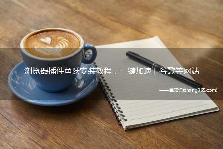 浏览器插件鱼跃安装教程,一键加速上谷歌等网站