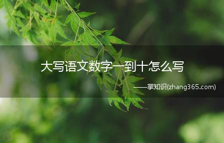 大写语文数字一到十怎么写