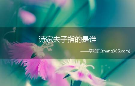 诗家夫子指的是谁