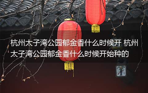 杭州太子湾公园郁金香什么时候开 杭州太子湾公园郁金香什么时候开始种的