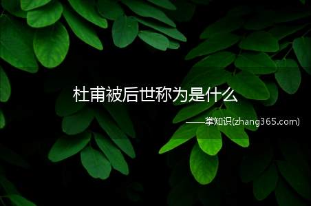 杜甫被后世称为是什么(杜甫被后人誉为什么)