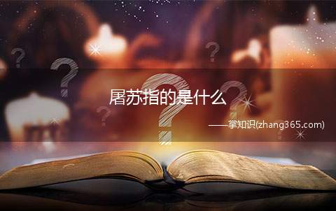 屠苏指的是什么