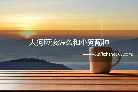 大狗应该怎么和小狗配种