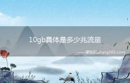 10gb具体是多少兆流量