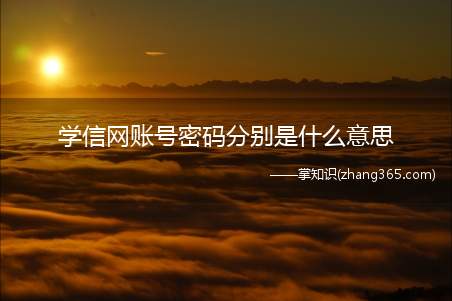 学信网账号密码分别是什么意思(账号密码都忘记了怎么办)